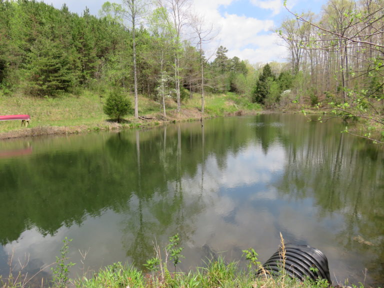 Bass Pond 1 Wildcat Cabin Rentals LLC