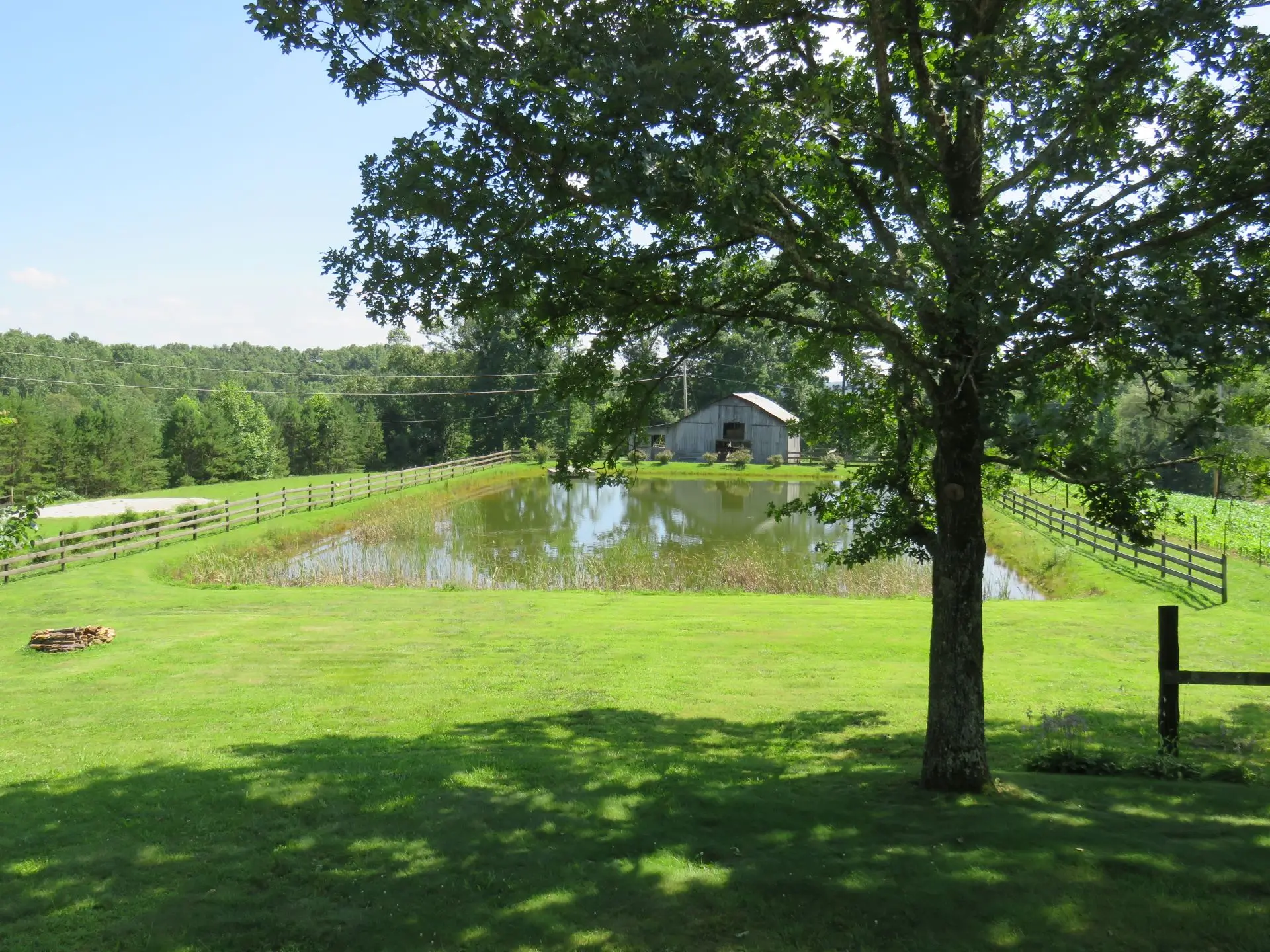 View-of-pond-from-back-deck